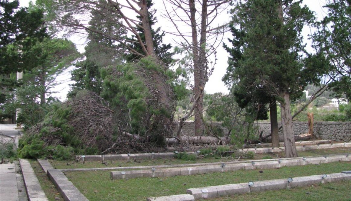 Internet Bor Kampor Large